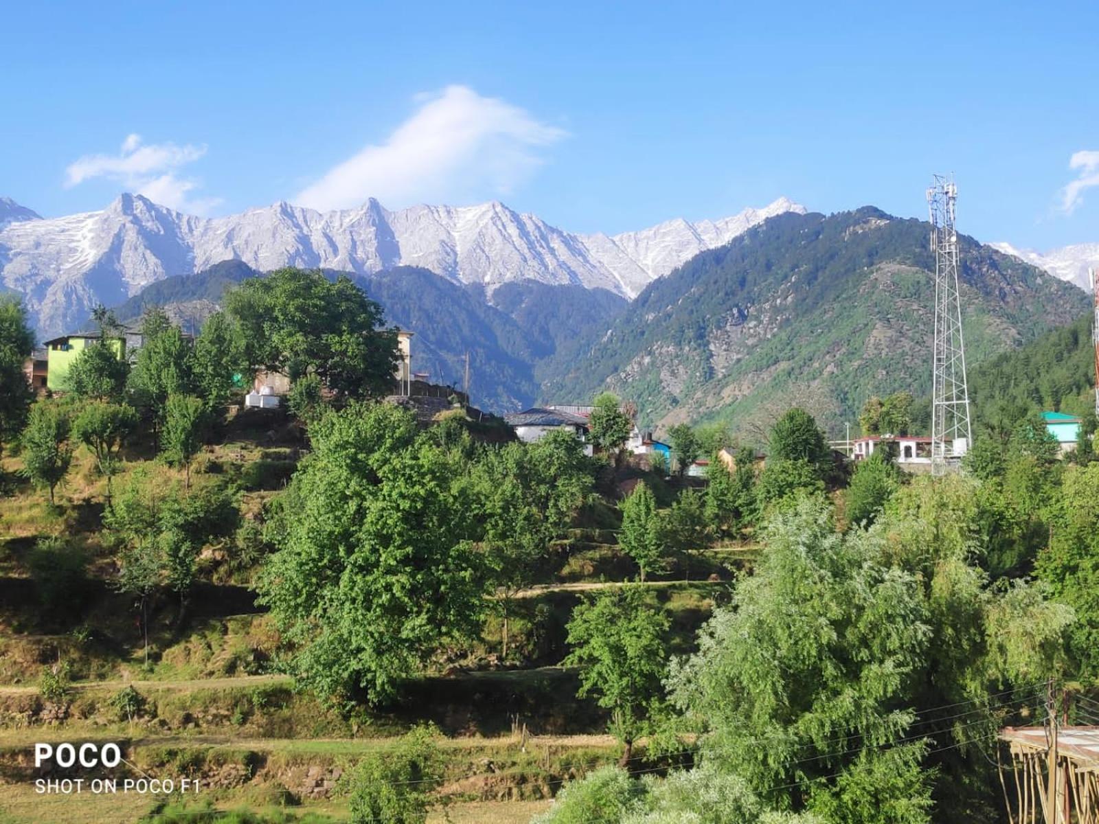 Nirmal Homestay Dharamshala Ngoại thất bức ảnh