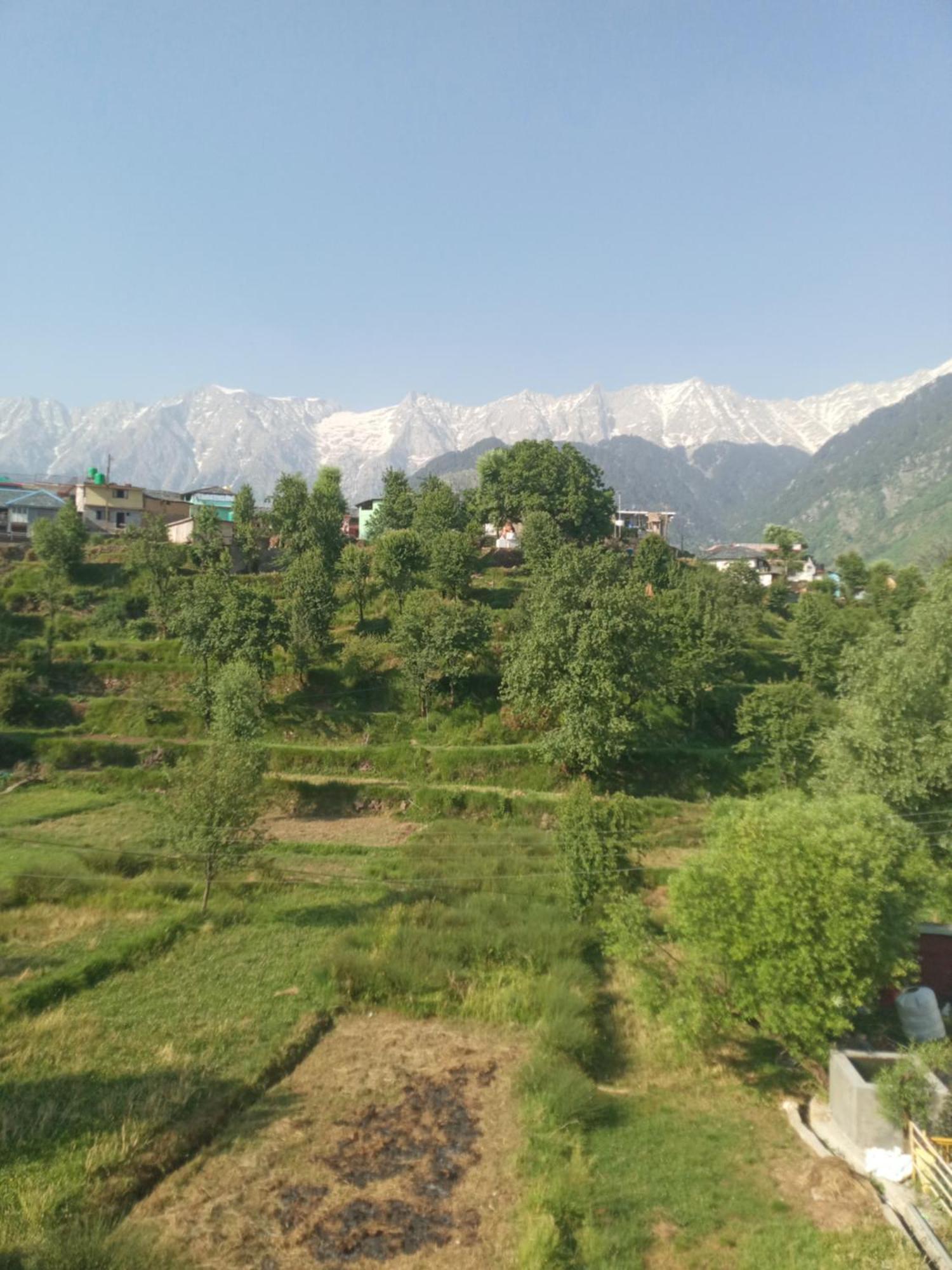 Nirmal Homestay Dharamshala Phòng bức ảnh